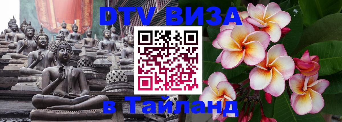 Оформление DTV визы под ключ: стоимость и тарифы, только загранпаспорт - Тирасполь  18.11.2025 